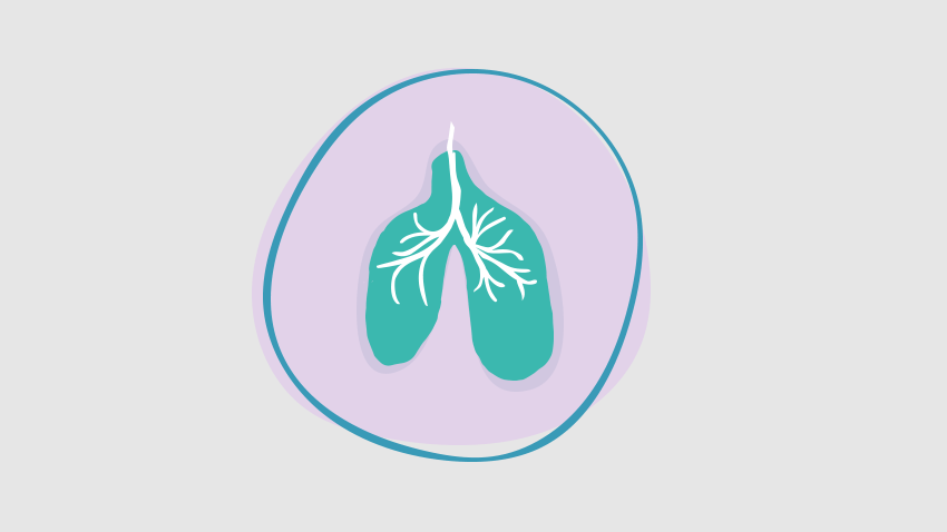 Lab grown lungs from stem cells