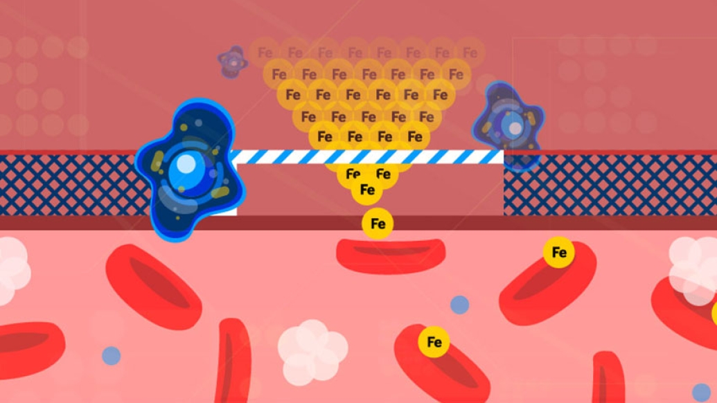 iron met malcolm image