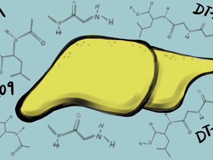 liver in yellow blue background dT109 written across image in four spots at corners