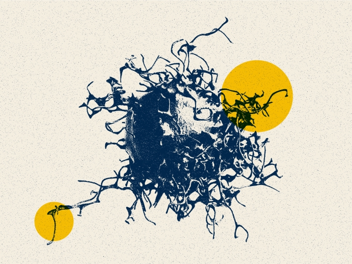 cancer cell yellow blue