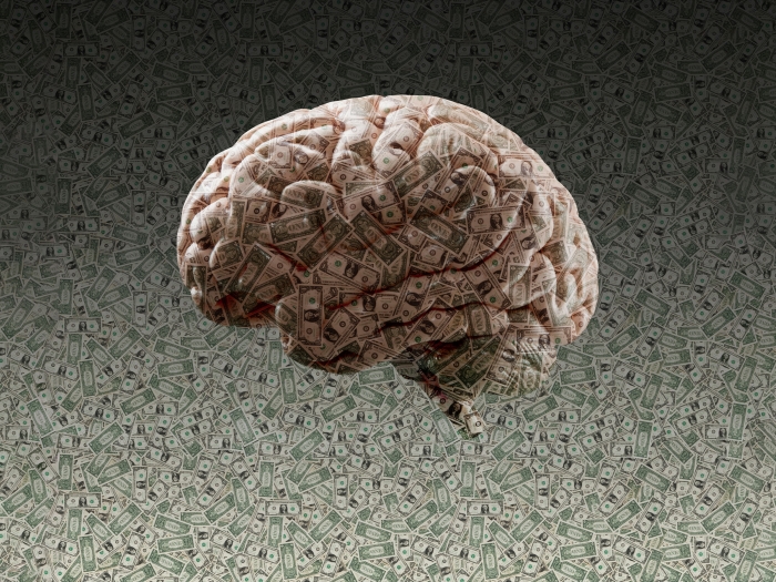 brain with money on it