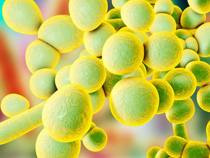 green circle cells close together highlighted in yellow