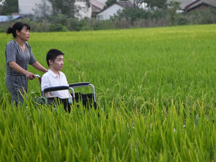 bbc_als_2023_person_in_wheelchair_in_field_of_grass