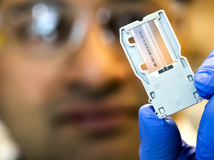 Doctors looking at sample