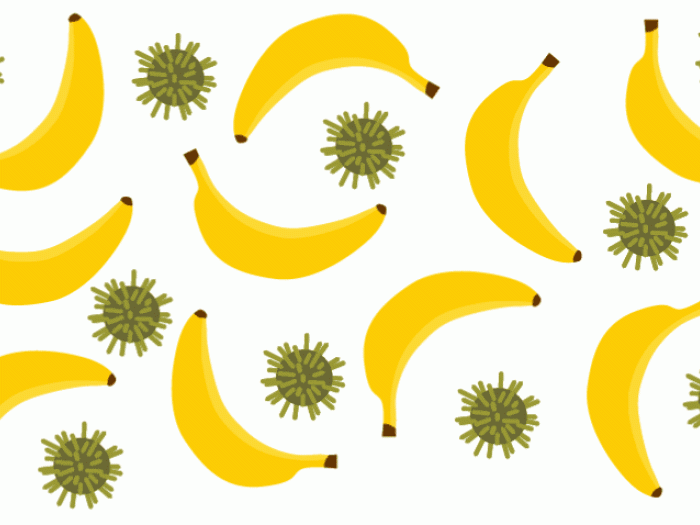 Bananas with flashing flu cells around them