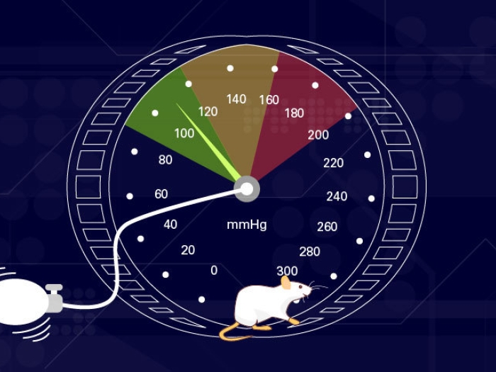 blood pressure dial with green yellow and red with mouse