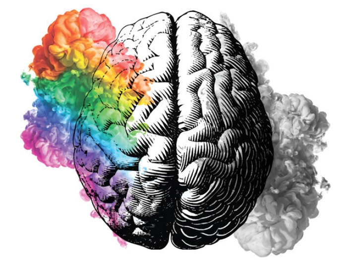 Brain Rainbow Cloud Gray Fog