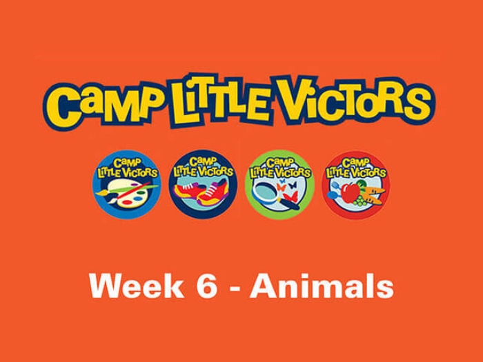 Camp little victors week 6 of animals
