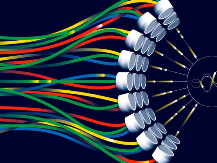 Color wires Microsopic Tissue Ultrasonic waves