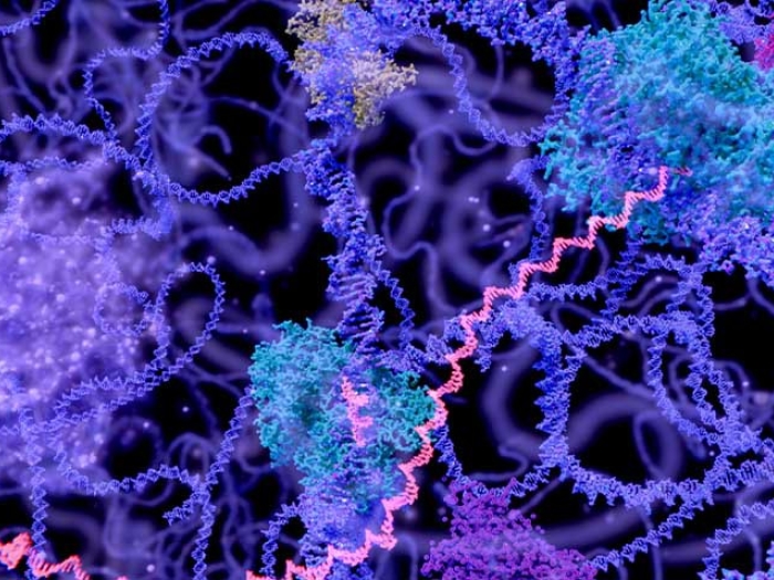 dna illustration in blue purple and pink on black background