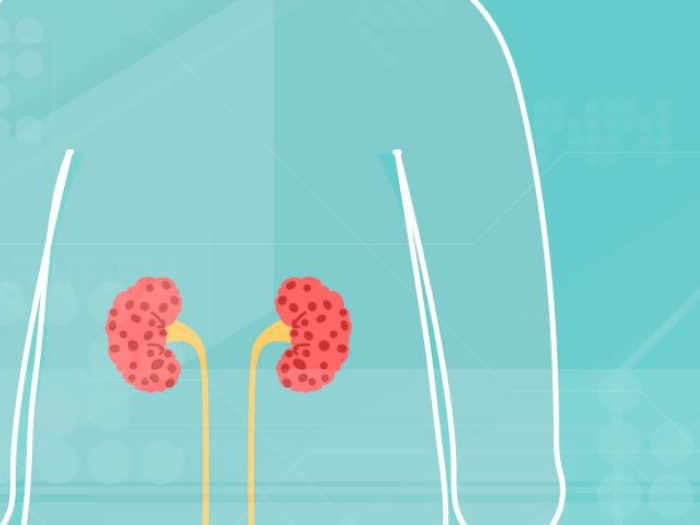 See through body of end stage kidney disease with teal blue background