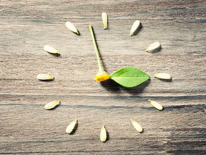 flower petal clock with leaf on washed wood background