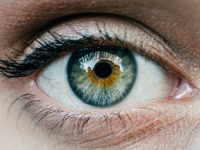 Zoom of hazel eye close up