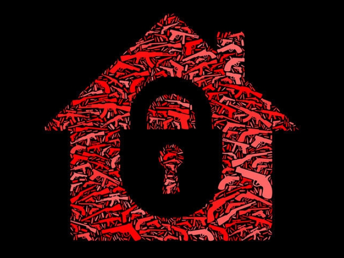 red house outline with gun lock outline