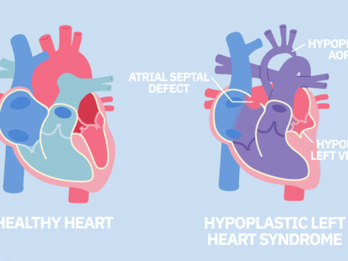 moving heart in red blue and dark blue and purple 