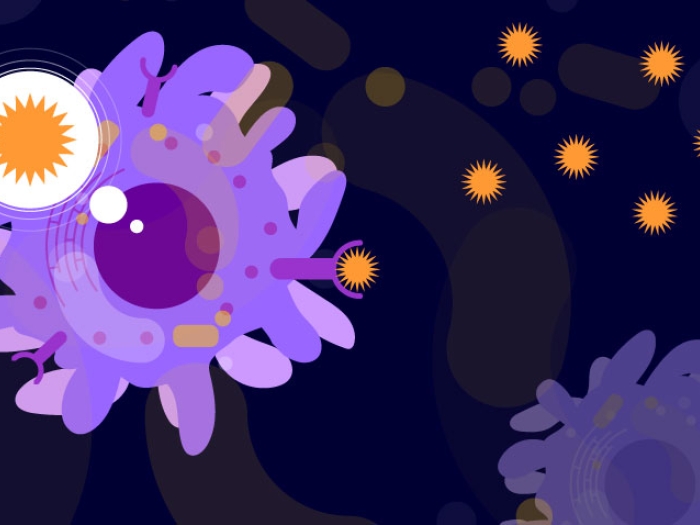 Immune system graphic 