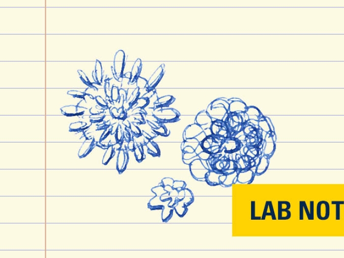 bacteria viruses drawn in blue ink on lined paper with yellow badge with words "lab note" in blue