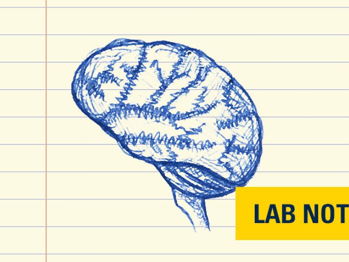 drawing of a brain in blue ink on lined paper with "lab note" branding on bottom right