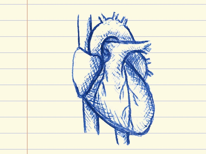 drawing on lined paper of heart in blue ink