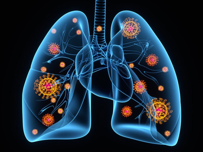 lungs drawn in blue with black background and red cells inside