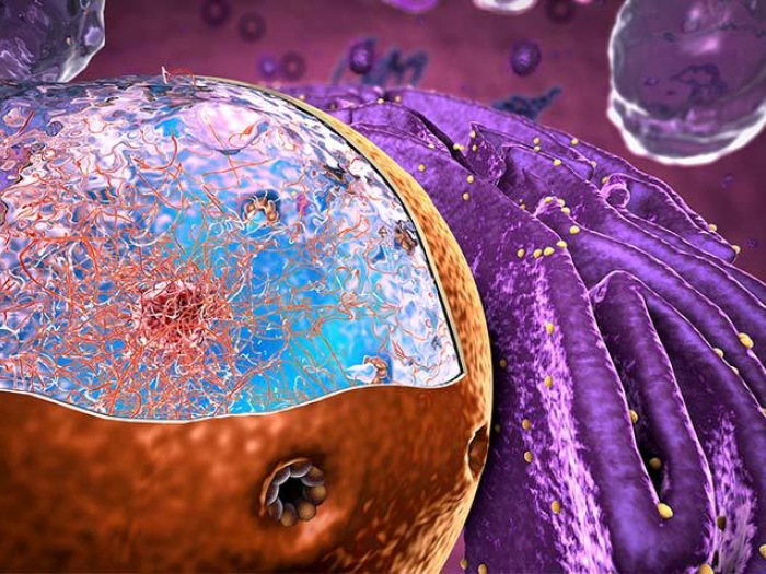 Microscopic-Cell-Nucleus-Proteins-Render