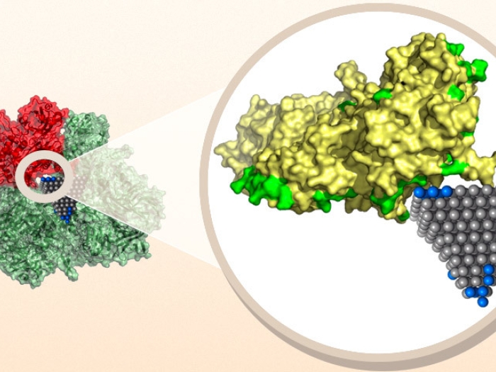 nanoparticle biotics science zoomed in yellow green red