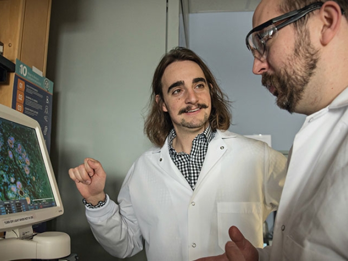 Doctors looking at screen