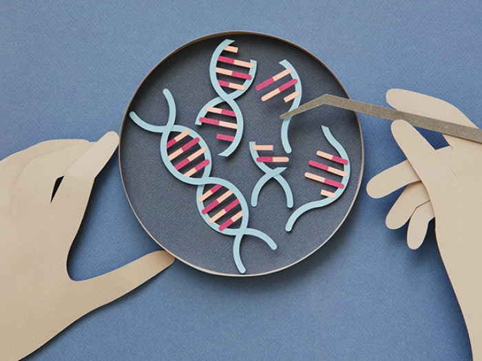 paper cut out dna helix hands