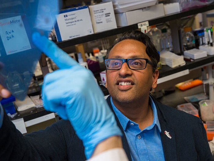 Daniel Wahl and researcher looking and pointing at slide