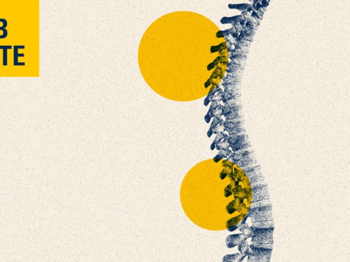 spine drawing lab notes