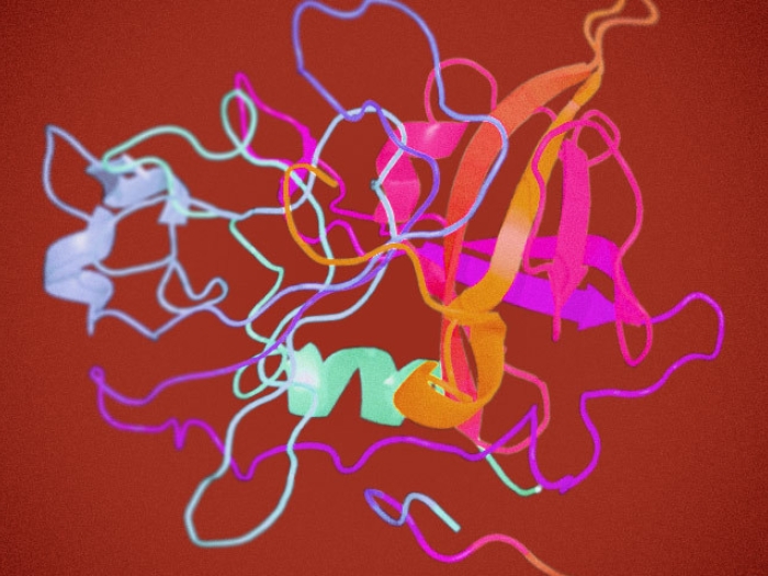 supar molecular receptor shapes squiggles 