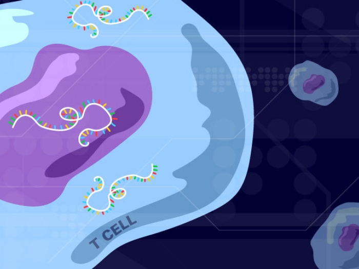 blue cell with purple cell inside with yellow squiggly lines and other ones floating nearby
