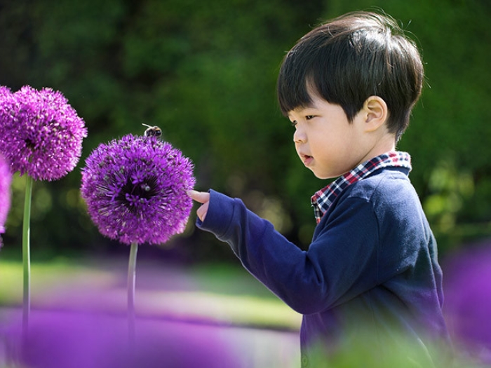 toddler boy touching purple flower with bee on it in field 