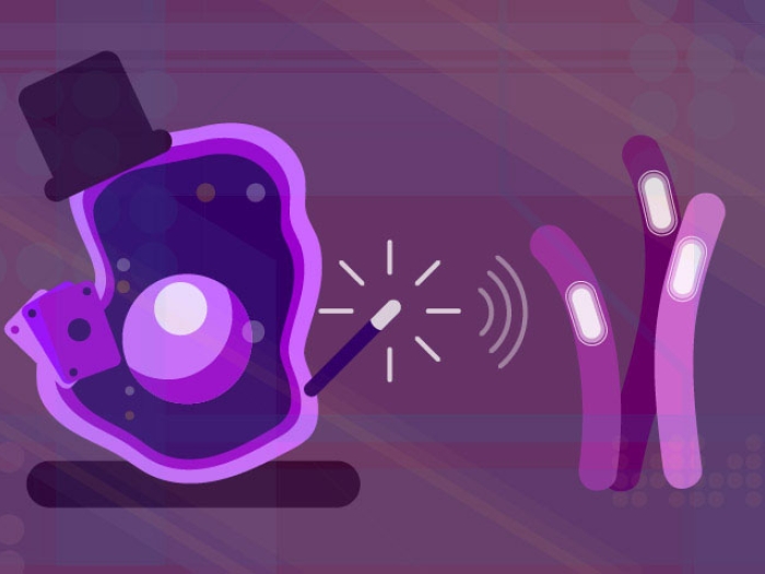 Tuberculosis bacteria image