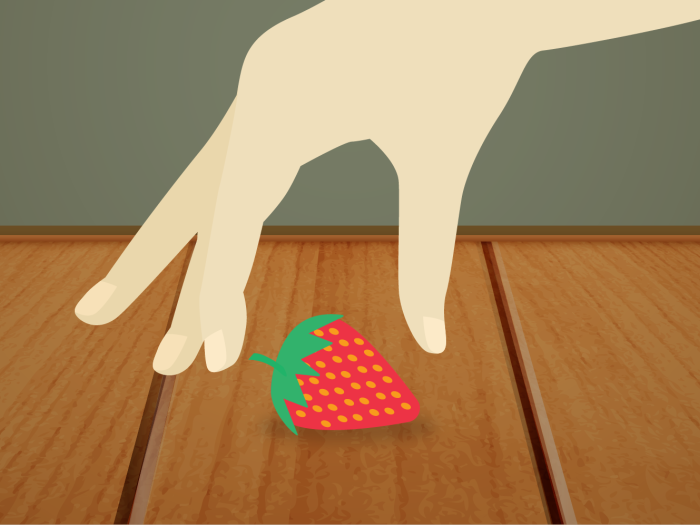 Eating food off the floor within the 5 second rule