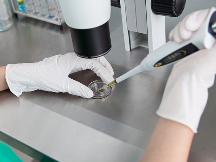 A doctor reviewing a biopsy before preparing a pathology report