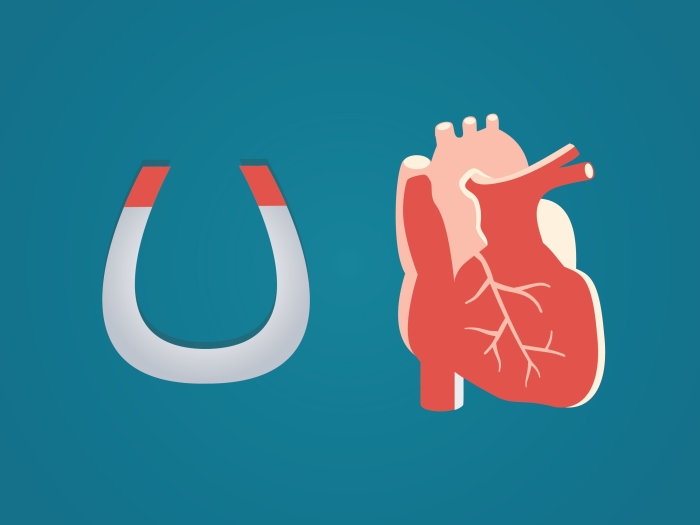 Improving LVAD pumps using magnets