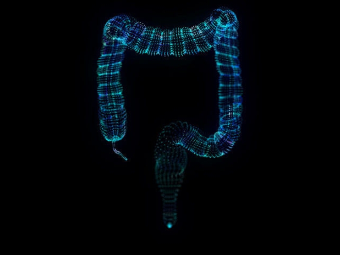 Image of colitis on black background