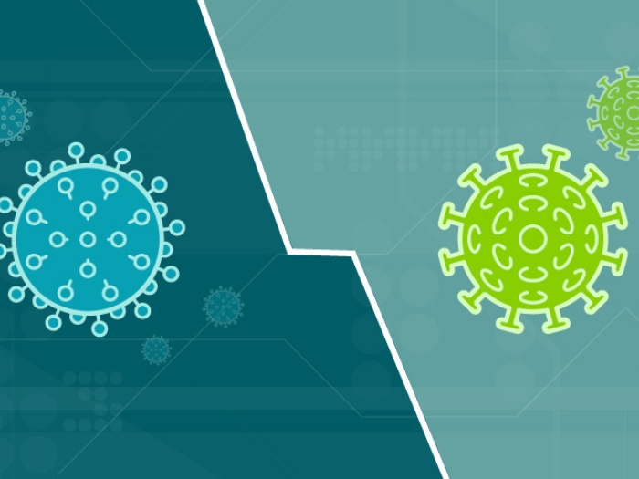 blue and green cells floating around on dark and light teal background