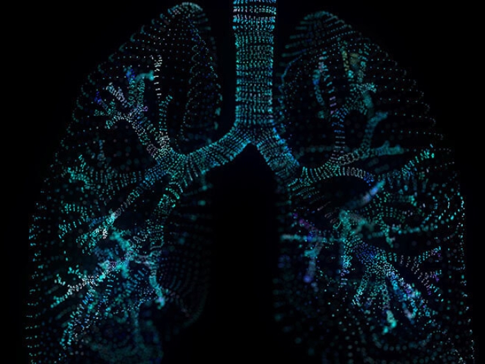 Multi-colored lung illustration