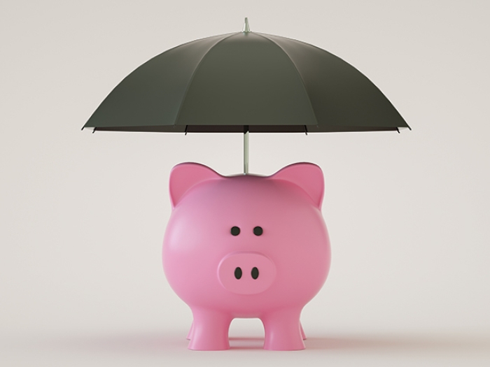 piggy bank umbrella pink biege