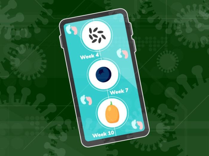 image of a phone with pregnancy growth milestones on it surrounded by green covid-19 cells 