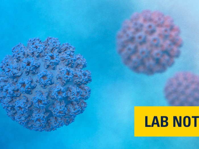 purple HPV cells floating