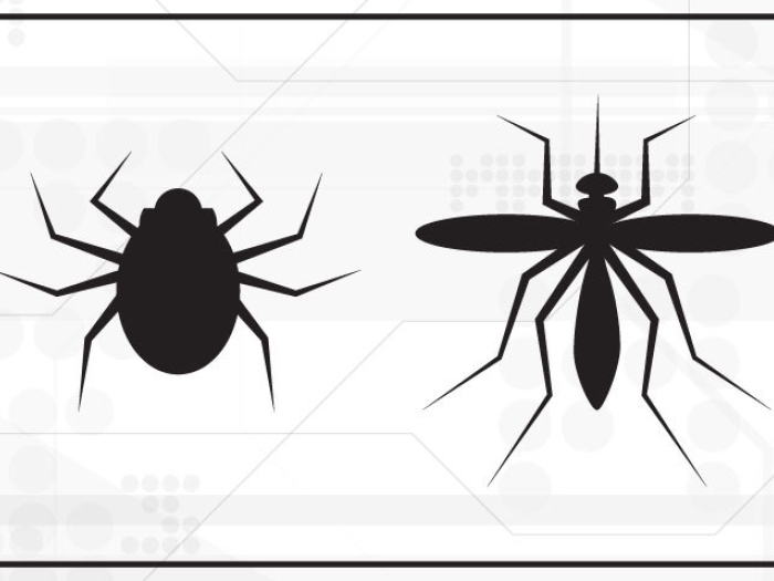 images of a tick and mosquito side by side